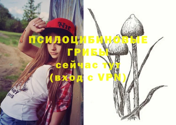 дурь Алексеевка