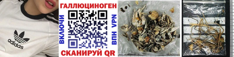Галлюциногенные грибы Psilocybine cubensis  Нефтекумск 