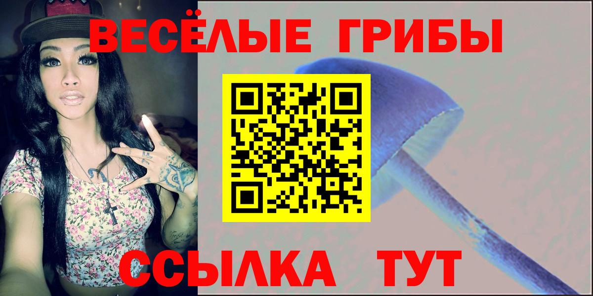Псилоцибиновые грибы мухоморы Нефтекумск