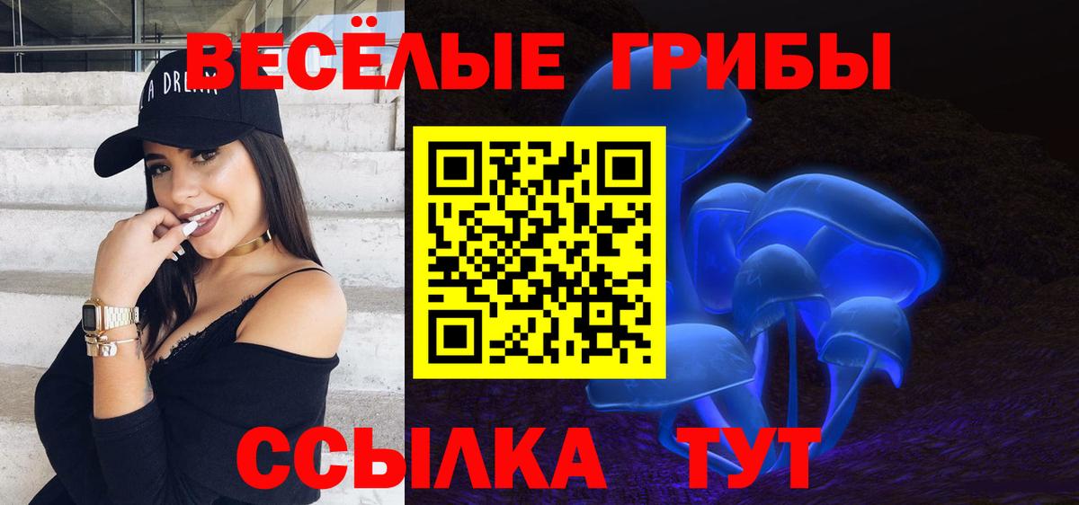 Нефтекумск  Псилоцибиновые грибы Psilocybine cubensis  Вход с VPN  Галлюциногенные грибы Psilocybe 